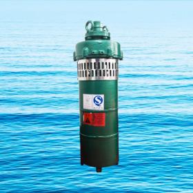 QS小型潛水電泵、QST660V特種電泵